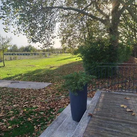 Domaine Saint Pierremont *